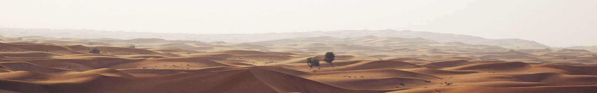 ԵܻƼ޹˾